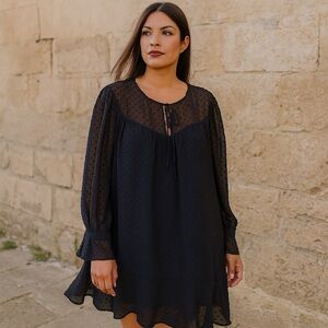 Zara basics black swiss dot long sleeve dress